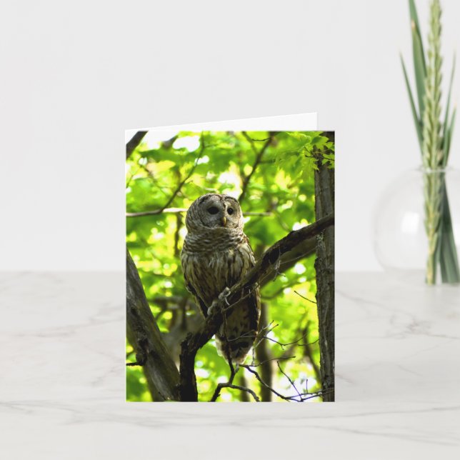 Barrierefreies Owl #2 - Blank-Notizkarte Karte (Vorderseite)