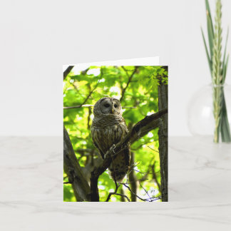 Barrierefreies Owl #2 - Blank-Notizkarte Karte