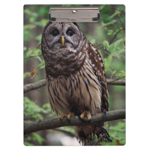 Barrierefreies Owl Clipboard Klemmbrett