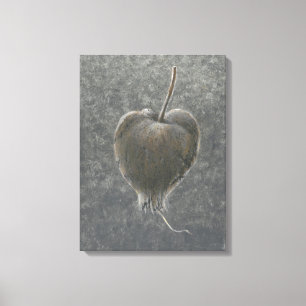 Barringtonia Acutangula 2 Leinwanddruck