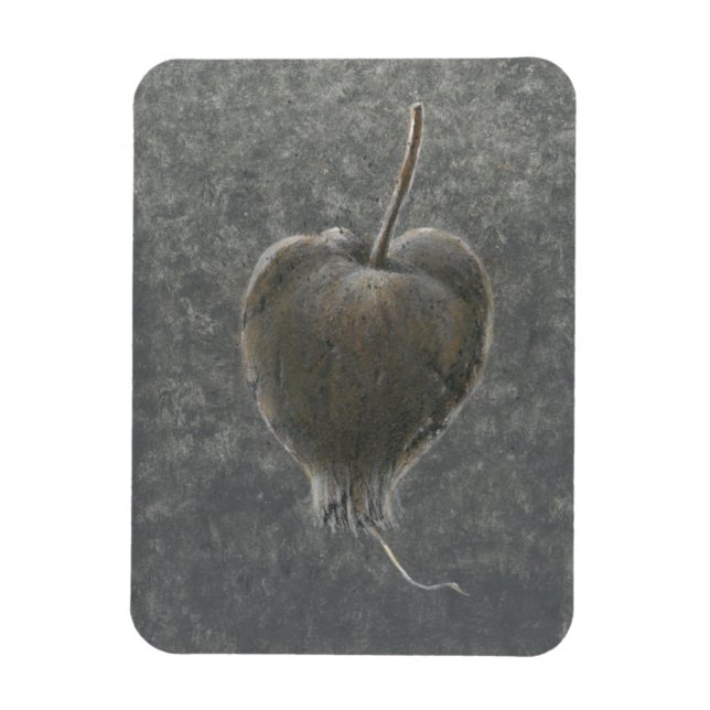 Barringtonie Acutangula 2 Magnet (Vertikal)