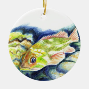 Barsch - Watercolor-Bleistift-Zeichnen Keramikornament