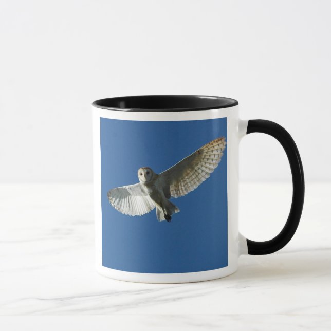 Barschenschüssel im Tagesflug Tasse (Rechts)