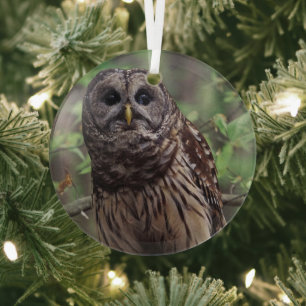 Barscheuleule Ornament Aus Glas