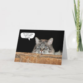 Barschkatze am Geburtstag von Hayloft Karte