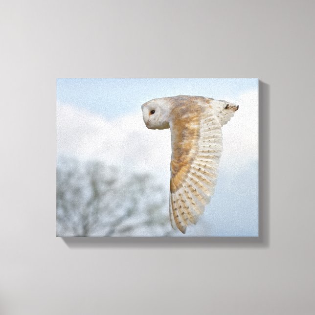 Barschüssel in Flight Wrapped Canvas Print Leinwanddruck (Vorderseite)