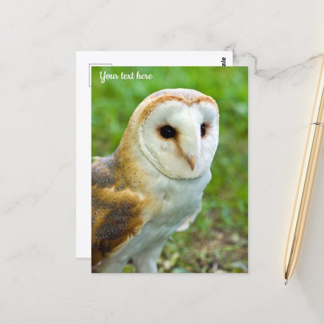 Barschüssel Postkarte (Vorderseite/Rückseite Beispiel)
