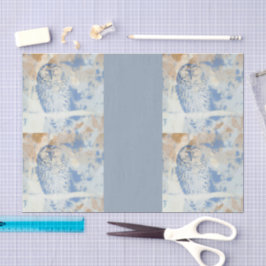 Barschwalbe bearbeiten seidenpapier