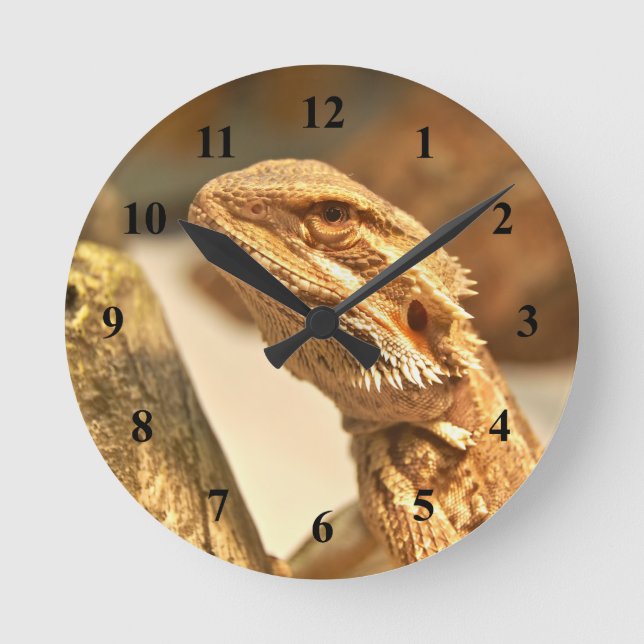 Bartagame Runde Wanduhr (Vorderseite)