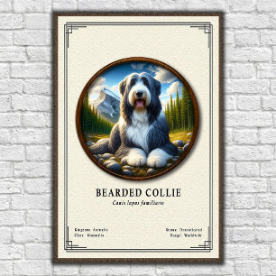 Bartcollie-Zoologie-Serie Poster