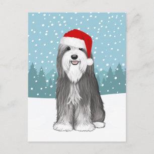 Bartded Collie Holiday Niedlich Hund Weihnachten C Postkarte