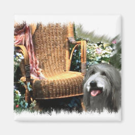 Bartded Collie Kunstgeschenke Magnet