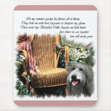 Bartded Collie Kunstgeschenke