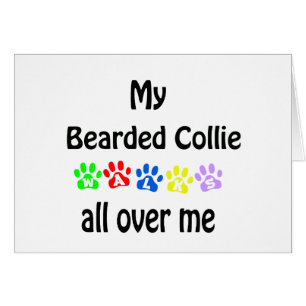 Bartded Collie Walks Design