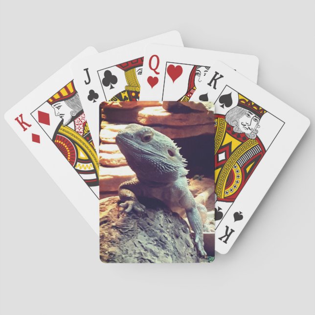 Bartdrache Spielkarten (Rückseite)