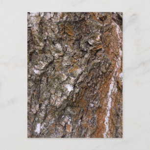 Bartenbaum Postkarte