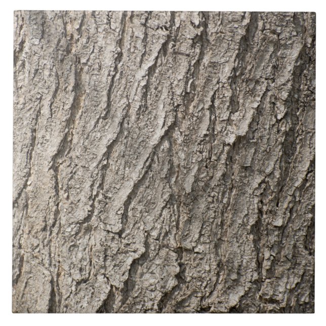 Bartenmuster Fliese (Vorderseite)