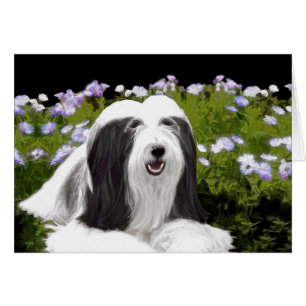 Bartete Collie Malerei - Niedliche Original Hunde