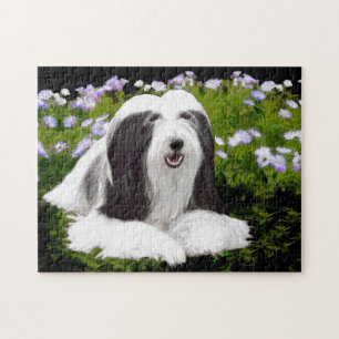 Bartete Collie Malerei - Niedliche Original Hunde 