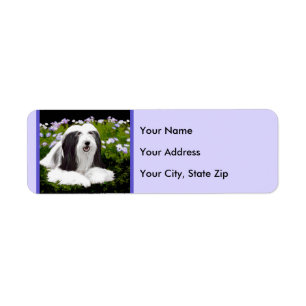 Bartete Collie Malerei - Niedliche Original Hunde