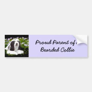 Bartete Collie Malerei - Niedliche Original Hunde  Autoaufkleber