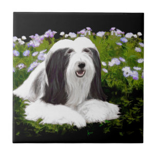 Bartete Collie Malerei - Niedliche Original Hunde  Fliese