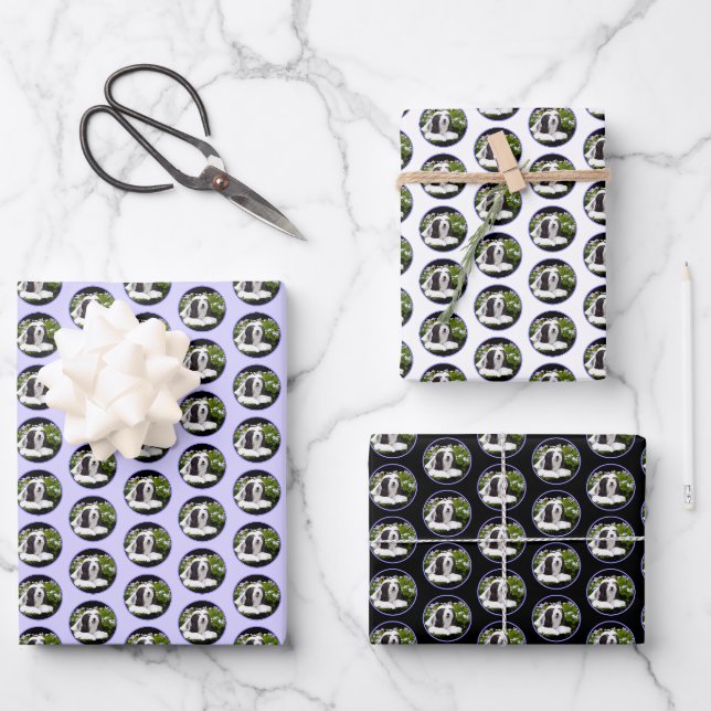 Bartete Collie Malerei - Niedliche Original Hunde  Geschenkpapier Set (Vorderseite)