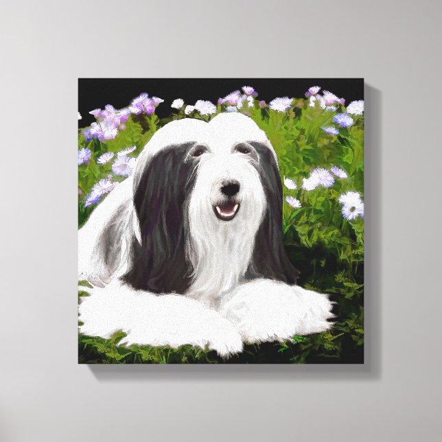 Bartete Collie Malerei - Niedliche Original Hunde  Leinwanddruck (Vorderseite)