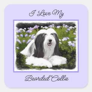 Bartete Collie Malerei - Niedliche Original Hunde  Quadratischer Aufkleber