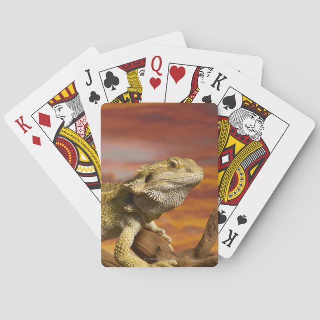 Bartete Drache (Pogona Vitticeps) auf Zweig, Spielkarten (Rückseite)
