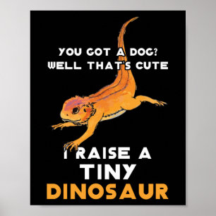 Bartete Drachenbesitzerin Bartete Drachenpferd Bar Poster