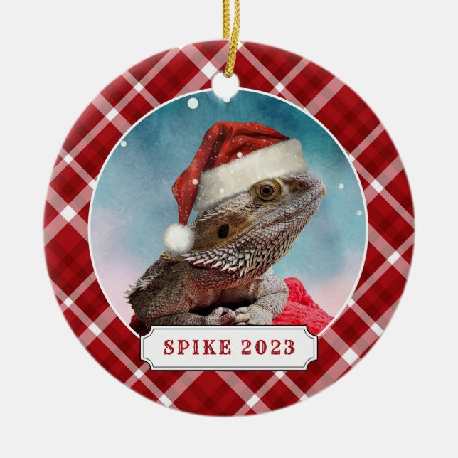 Bartete Dragon Keramik Circle Ornament (Vorne)