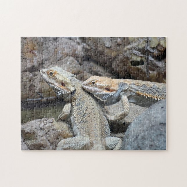 Bartete Dragons Jigsaw Puzzle (Horizontal)