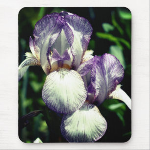 Bartete Iris Pair-Blume Mousepad