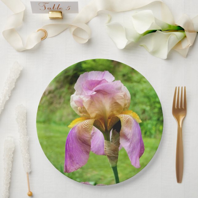 Bartete Iris-Papierplatte Pappteller (Hochzeit)
