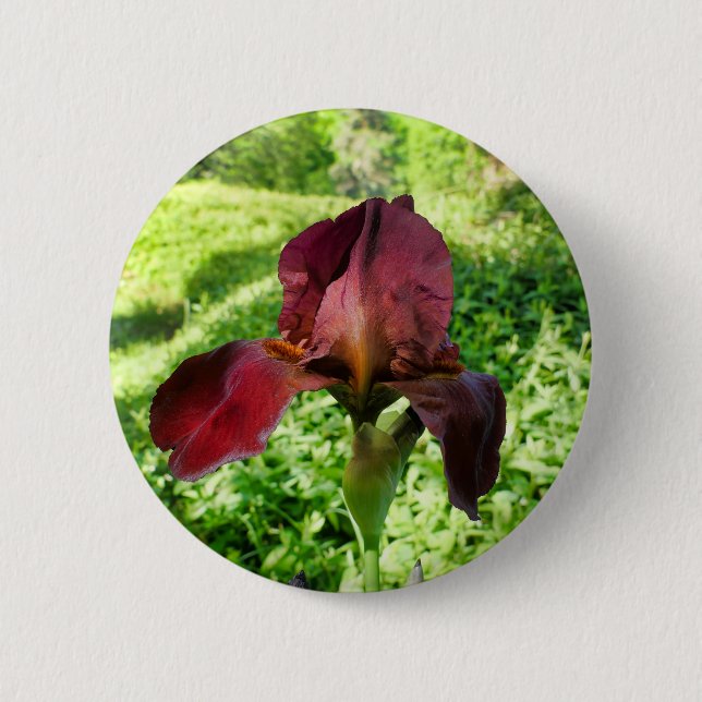 Bartetes Iris-Abzeichen Button (Vorderseite)