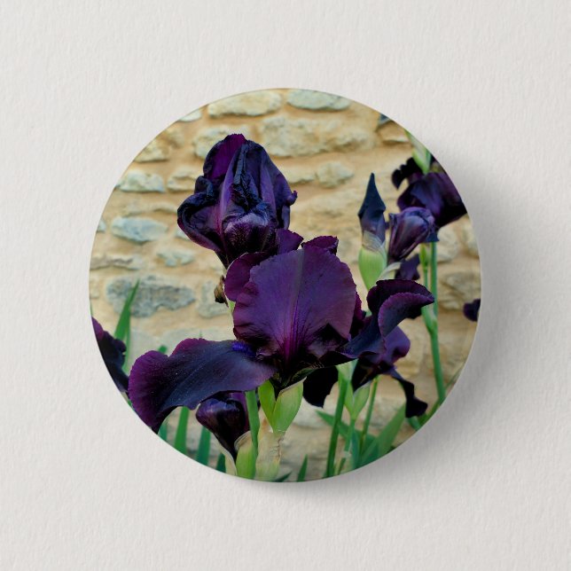 Bartetes Iris-Abzeichen Button (Vorderseite)