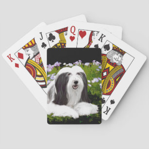 Bartfarbene Collie-Malerei - Niedliche Original-Hu Spielkarten