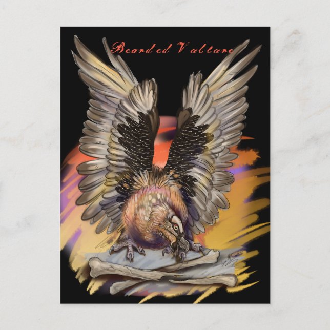 Bartgeier Postkarte (Vorderseite)