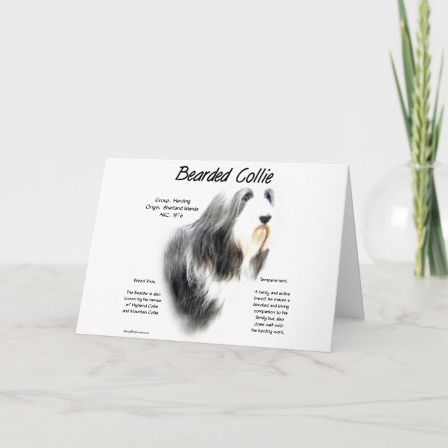 Bärtiger Collie-Geschichtsentwurf Feiertagskarte (Vorderseite)