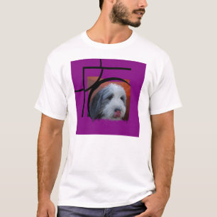 Bärtiger Collie mit Rosa T-Shirt