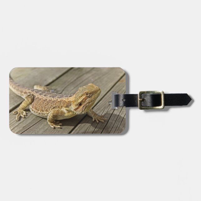 Bärtiger Drache auf etwas Holz Gepäckanhänger (Vorderseite horizontal)