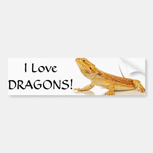 Bärtiger Drache Autoaufkleber (Vorne)