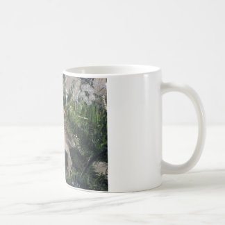 bärtiger Drache herauf Weihnachtsbaum Kaffeetasse