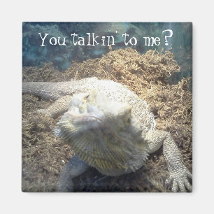 Bärtiger Drache-Magnet Magnet