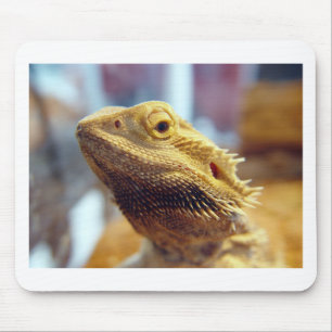 Bärtiger Drache Mousepad