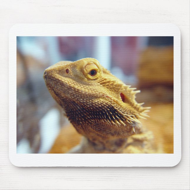 Bärtiger Drache Mousepad (Vorne)