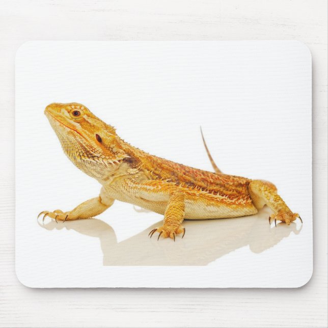 Bärtiger Drache Mousepad (Vorne)