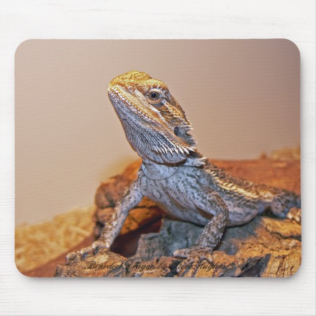 Bärtiger Drache Mousepad (Vorne)