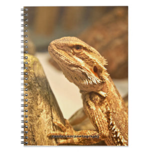 Bärtiger Drache Notizblock
